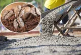 Loại phế phẩm của thứ đồ uống quen thuộc có thể giúp bê tông cứng hơn gấp bội