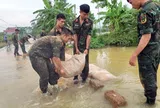 Còn đó nỗi lo đê điều