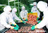 Cổ phiếu có nguy cơ bị hủy niêm yết bắt buộc, BLF nói gì?