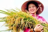 TOÀN VĂN: Điều lệ Hội Nông dân Việt Nam (sửa đổi, bổ sung)