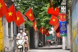 Quốc kỳ Việt Nam được quy định sử dụng như thế nào?