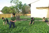Phát huy vai trò, trách nhiệm của đội ngũ sĩ quan trẻ trong quân đội theo tinh thần “7 dám”