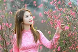 Trình phương án nghỉ Tết Nguyên đán Ất Tỵ; nghỉ lễ 30/4-1/5; Quốc khánh 2025