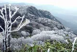 Không khí lạnh tăng cường, Bắc Bộ và Bắc Trung Bộ có nơi lạnh dưới 15 độ