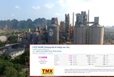Sếp công ty xi măng bị tạm đình chỉ để điều tra, cổ phiếu vẫn tăng hết biên độ
