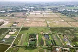 Thu hồi gần 28 ha đất lúa tại Tam Hưng để triển khai phân khu đầu tiên của đại đô thị Olympic