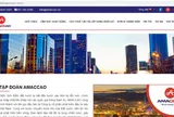 Tập đoàn AMACCAO: Báo cáo tài chính không công khai, hệ sinh thái của tập đoàn AMACCAO làm ăn ra sao?