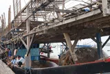 Quảng Nam tăng tốc chống khai thác IUU, sẵn sàng đón Đoàn thanh tra EC lần thứ 5