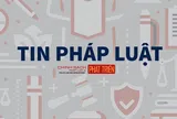 Bắt tạm giam Giám đốc Điện lực; cấm xuất cảnh nữ Chủ tịch HĐQT