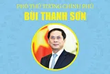 INFOGRAPHICS: Tóm tắt tiểu sử Tân Phó Thủ tướng Chính phủ Bùi Thanh Sơn