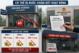 Chi nhánh ngân hàng lỗ liên tục 3 năm có thể bị buộc chấm dứt hoạt động