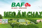 Dòng tiền âm, nợ vay tăng hơn 1.000 tỷ đồng sau một quý: Điều gì đang diễn ra tại BAF Việt Nam?