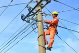 Công ty CP Xây dựng Thương mại AnVy “qua mặt” các dự án của EVNHANOI như thế nào?