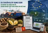 EU chuẩn bị áp dụng EUDR và những tác động đối với doanh nghiệp xuất khẩu nông sản Việt Nam