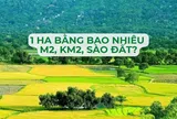 1 hecta bằng bao nhiêu m2, km2, sào đất?