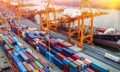 Xuất khẩu hàng hóa giảm mạnh trong nửa đầu tháng 8