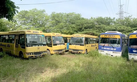 Ngành vận tải “điêu đứng” vì dịch bệnh