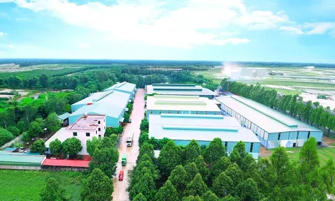 Khởi công nhà máy gần 2.800 tỷ đồng tại Cần Thơ