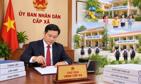 Chủ tịch UBND cấp xã có thẩm quyền thành lập, cấp phép hoạt động đối với những trường học nào?