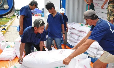 Xuất cấp gạo và hàng dự trữ quốc gia cho 3 tỉnh phòng, chống dịch COVID-19