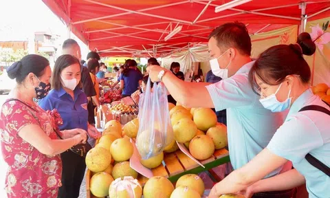 Kết nối, tiêu thụ nông sản, sản phẩm OCOP các tỉnh bị ảnh hưởng dịch Covid-19