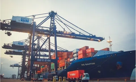 Vận tải Luồng xanh: Giải pháp logistics linh hoạt trong phòng chống dịch