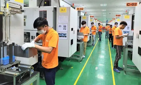 Chính sách hỗ trợ người lao động và người sử dụng lao động bị ảnh hưởng bởi đại dịch COVID-19 từ Quỹ bảo hiểm thất nghiệp