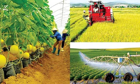 Triển khai Chương trình mục tiêu quốc gia giảm nghèo bền vững giai đoạn 2021-2025
