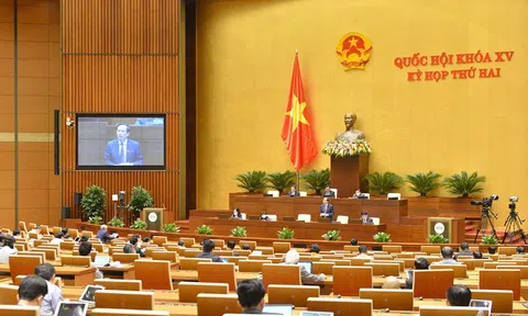 Bảo hiểm xã hội là trụ cột lớn về an sinh
