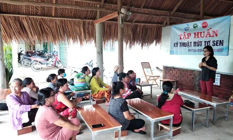 Mô hình sinh kế dựa vào mùa nước nổi giúp nông dân tăng thu nhập đến 150%