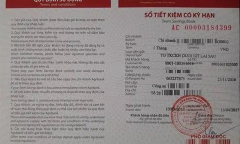 Vụ chiếm đoạt 116 tỷ tại Hà Nội: Nguyên đơn gửi thêm nhiều tài liệu đến cơ quan điều tra