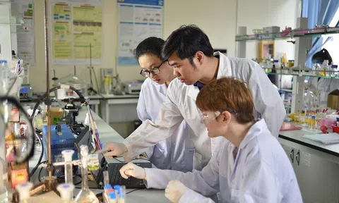 Đào tạo sau đại học: Những luồng gió mới