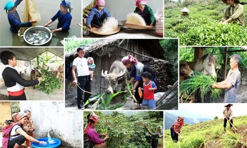 Khẩn trương hoàn thiện thủ tục giao kế hoạch vốn cho các chương trình MTQG