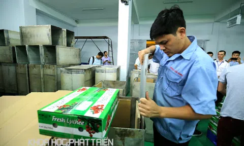 Sửa Luật Tiêu chuẩn & Quy chuẩn kỹ thuật và Luật Chất lượng sản phẩm, hàng hóa: Thích ứng với bối cảnh mới