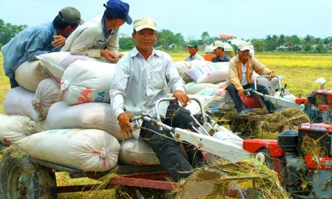 Ngành nông nghiệp: Đầu tư công cho nghiên cứu khoa học sẽ đạt 5% tổng đầu tư