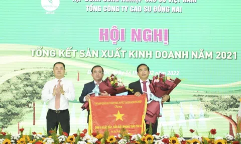 Tổng công ty Cao su Đồng Nai cần tiếp tục đổi mới, đột phá trong sản xuất, kinh doanh