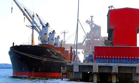 Nghệ An: Triển khai kế hoạch thực hiện Hiệp định đối tác kinh tế toàn diện Khu vực (RCEP)