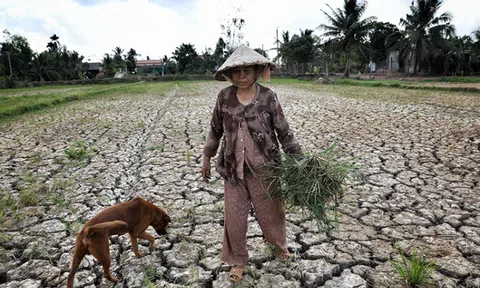 Báo cáo mới nhất về tác động của biến đổi khí hậu đến Việt Nam