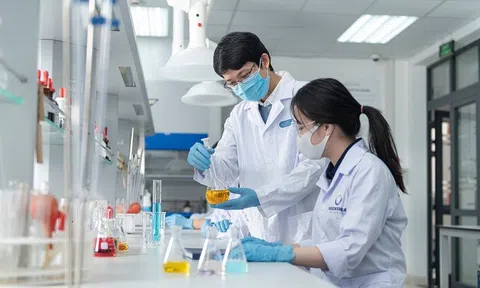 Hiệu quả kinh tế của các cơ sở giáo dục đại học