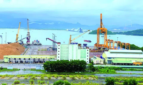 Quảng Ninh: Thất vọng cảng Cái Lân