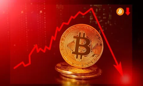 Bitcoin đã mất hơn một nửa giá trị từ đầu năm