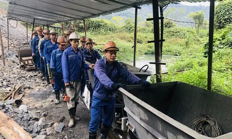 Vụ “ngâm” thủ tục Hải quan: Trách nhiệm thuộc về ai?