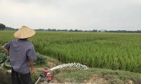 Trường đua ngựa trăm triệu USD đang ở đâu?