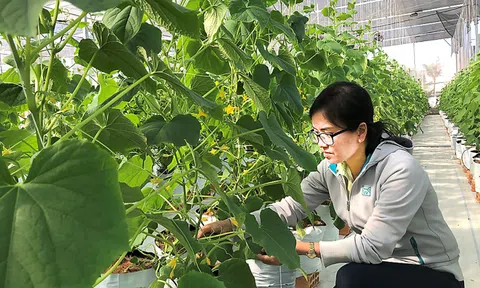 Quỹ KH&CN địa phương và doanh nghiệp: Nút thắt cơ chế?