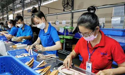 Tiếng nói phản biện: Thúc đẩy cải cách, cải thiện môi trường kinh doanh