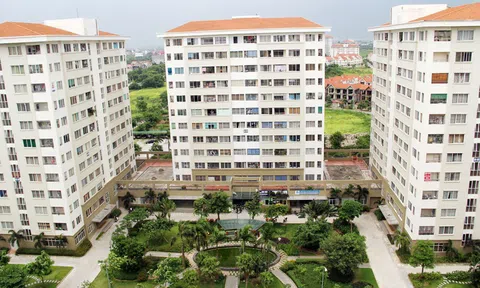 Bình Định: Công ty LICOGI13 Thuận Phước là chủ đầu tư dự án Nhà ở xã hội Long Vân hơn 860 tỷ đồng