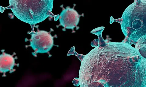 Virus tồn tại trong nước ngọt bằng cách bám trên nhựa