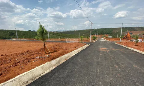 Người dân huyện Bảo Lâm, Lâm Đồng đổ xô đi chuyển mục đích sử dụng đất nông nghiệp sang đất ở
