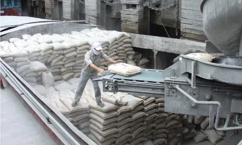 Sản xuất thành công xi măng sinh học thân thiện với môi trường