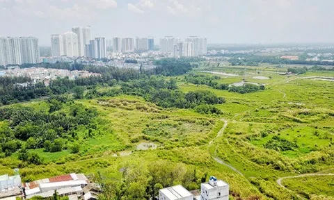 Cổ đông Quốc Cường Gia Lai lo Sunny Island đem 65ha đất dự án Phước Kiển đi thế chấp